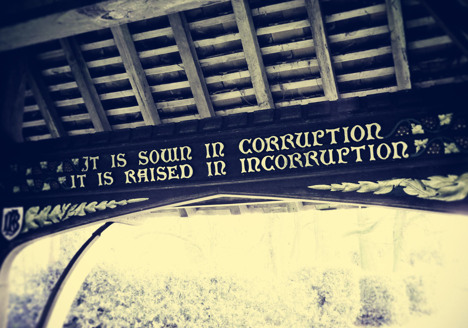 "It is sown in corruption, it is raised in incorruption..." (Photo: Edward Parnell)