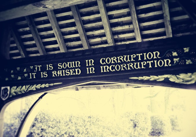 "It is sown in corruption, it is raised in incorruption..." (Photo: Edward Parnell)