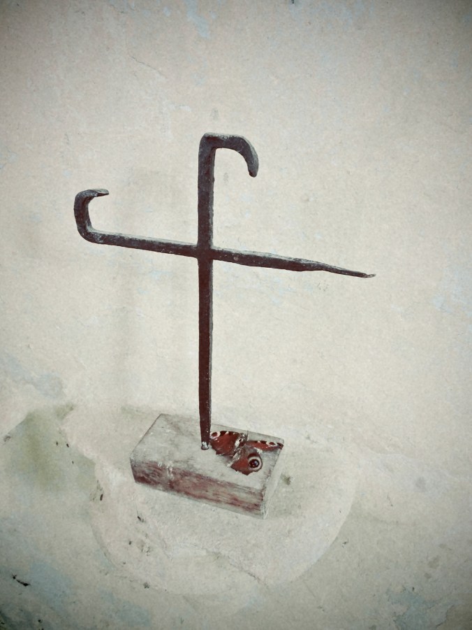 Fallen peacock (Photo: Edward Parnell)