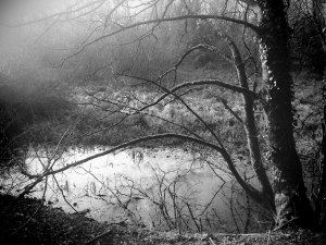 Photo copyright Edward Parnell